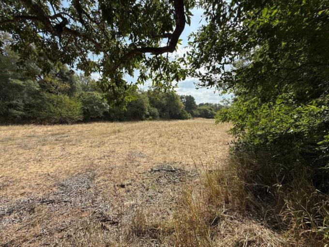 Land for Sale For Sale in Hoedspruit - MR679178
