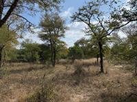  of property in Hoedspruit