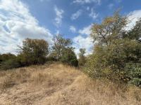  of property in Hoedspruit