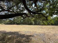  of property in Hoedspruit