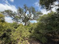  of property in Hoedspruit