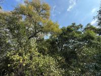  of property in Hoedspruit