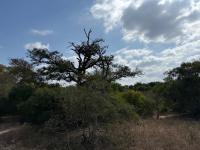  of property in Hoedspruit
