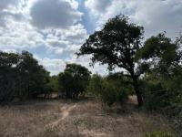  of property in Hoedspruit