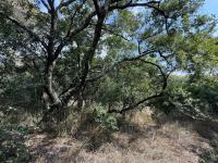  of property in Hoedspruit