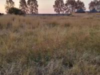  of property in Jameson Park