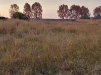  of property in Jameson Park