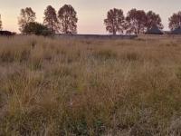  of property in Jameson Park