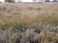  of property in Jameson Park