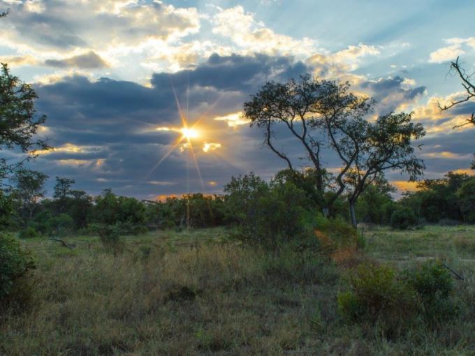 Land for Sale For Sale in Hoedspruit - MR679499