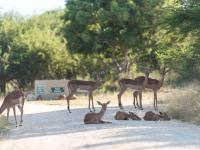  of property in Hoedspruit