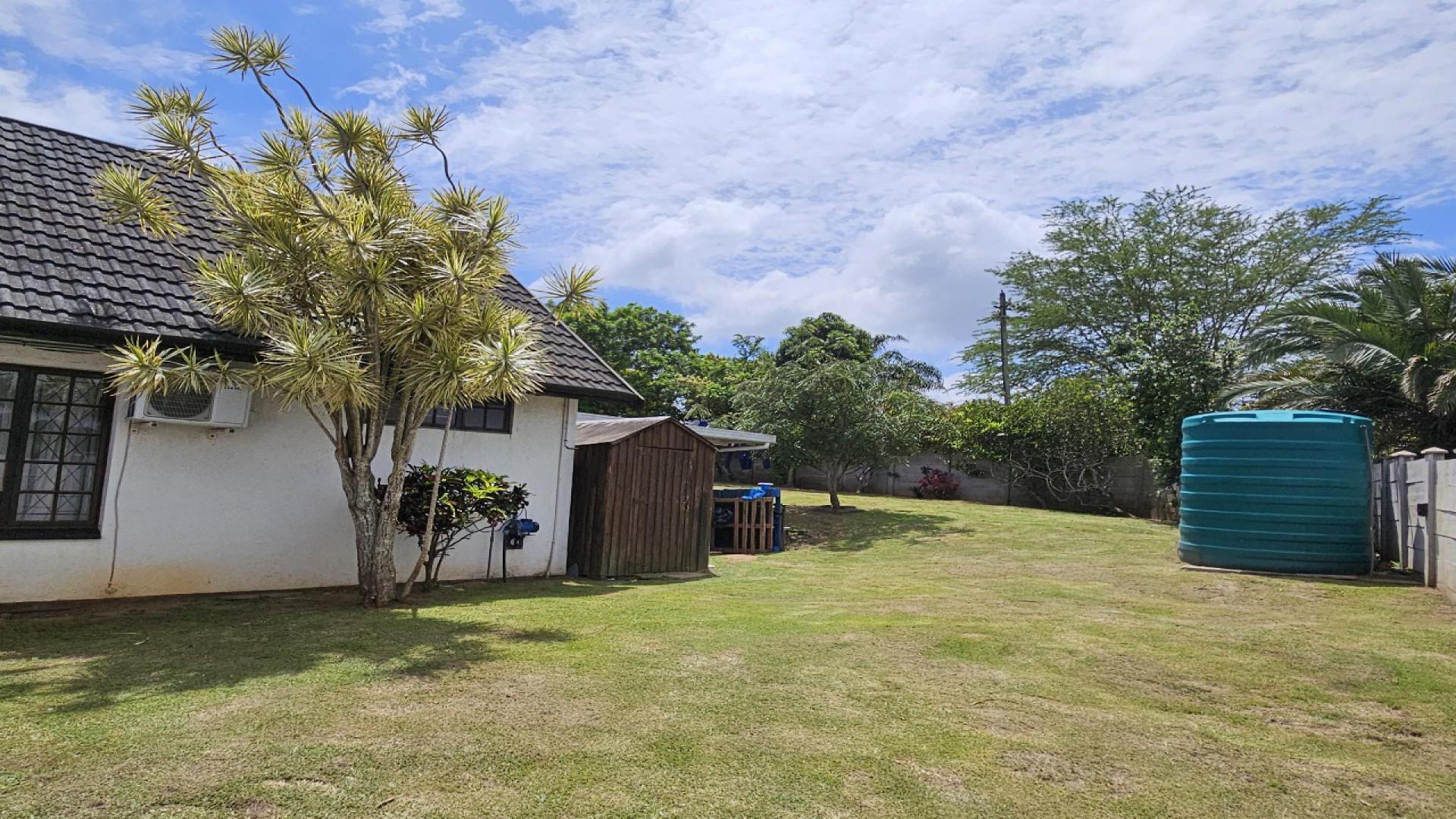 Backyard of property in Woodside