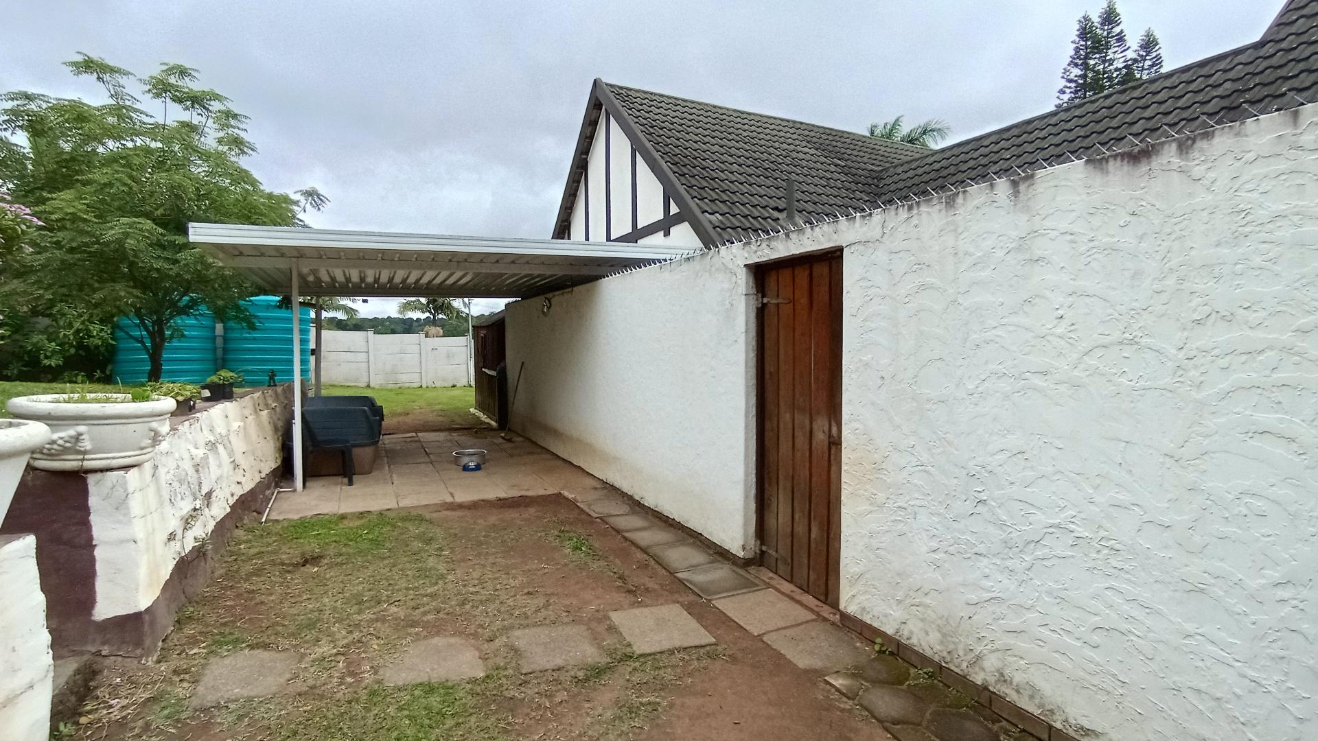 Backyard of property in Woodside