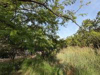  of property in Protea Park Remove