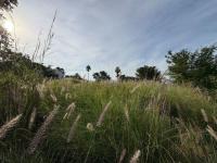  of property in Protea Park Remove