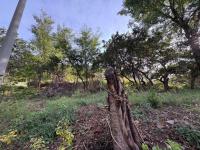  of property in Protea Park Remove