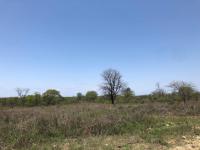  of property in Hoedspruit