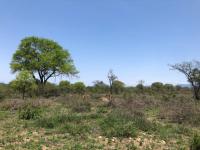  of property in Hoedspruit