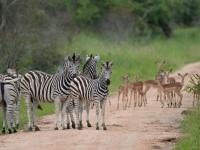  of property in Hoedspruit