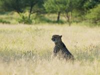  of property in Hoedspruit