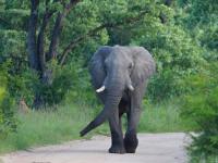  of property in Hoedspruit