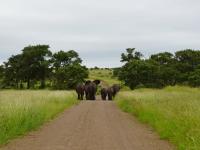 Land for Sale for sale in Hoedspruit