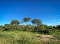  of property in Hoedspruit