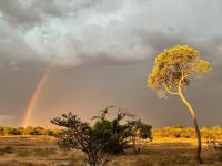  of property in Hoedspruit