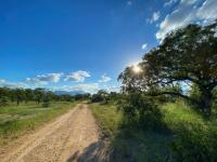  of property in Hoedspruit