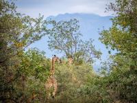  of property in Hoedspruit