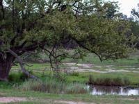  of property in Hoedspruit