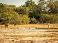  of property in Hoedspruit