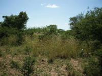  of property in Hoedspruit