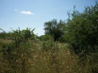  of property in Hoedspruit