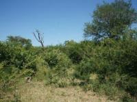  of property in Hoedspruit