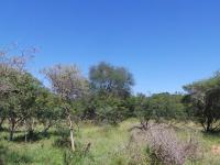  of property in Hoedspruit