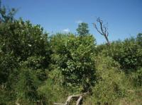  of property in Hoedspruit