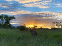 Land for Sale for sale in Hoedspruit