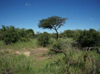  of property in Hoedspruit