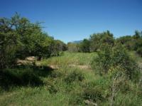  of property in Hoedspruit
