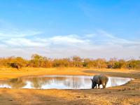 Land for Sale for sale in Hoedspruit