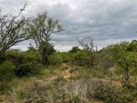  of property in Hoedspruit