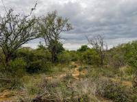  of property in Hoedspruit