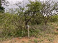  of property in Hoedspruit
