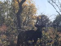  of property in Kameelfontein