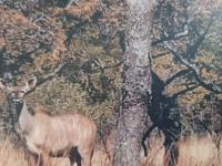  of property in Kameelfontein