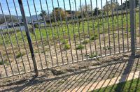  of property in Paarl