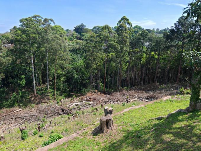 Land for Sale For Sale in Dawncliffe - MR679756