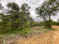  of property in Hoedspruit
