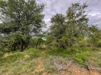  of property in Hoedspruit